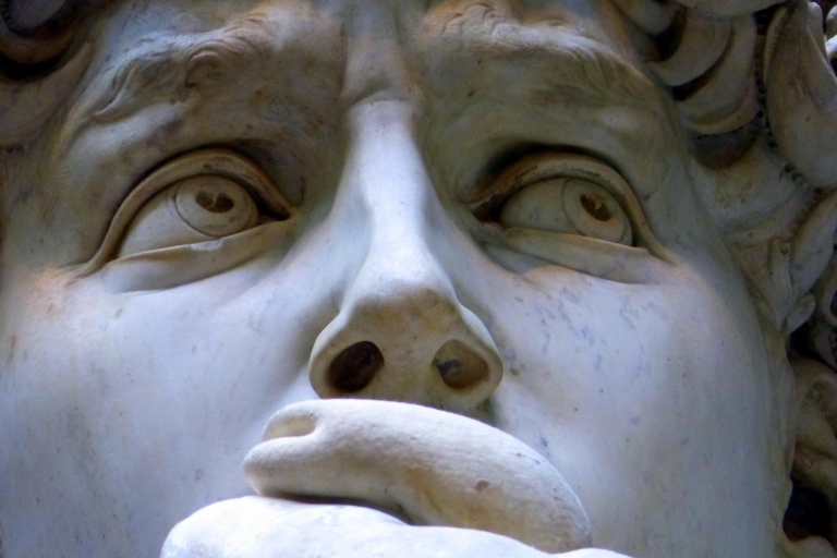 Florencia: tour exclusivo de los Uffizi, David y la AcademiaVisita guiada en francés