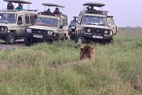 14-tägige-rwanda-uganda-luxus-gorilla-tracking-schimpansen