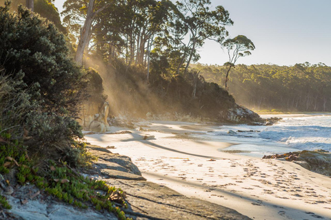 From Hobart: 2-Day Bruny Island and Port Arthur Tour