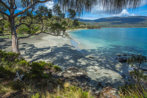 Von Hobart aus: 2-tägige Bruny Island und Port Arthur Tour