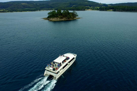 Von Hobart aus: 2-tägige Bruny Island und Port Arthur Tour