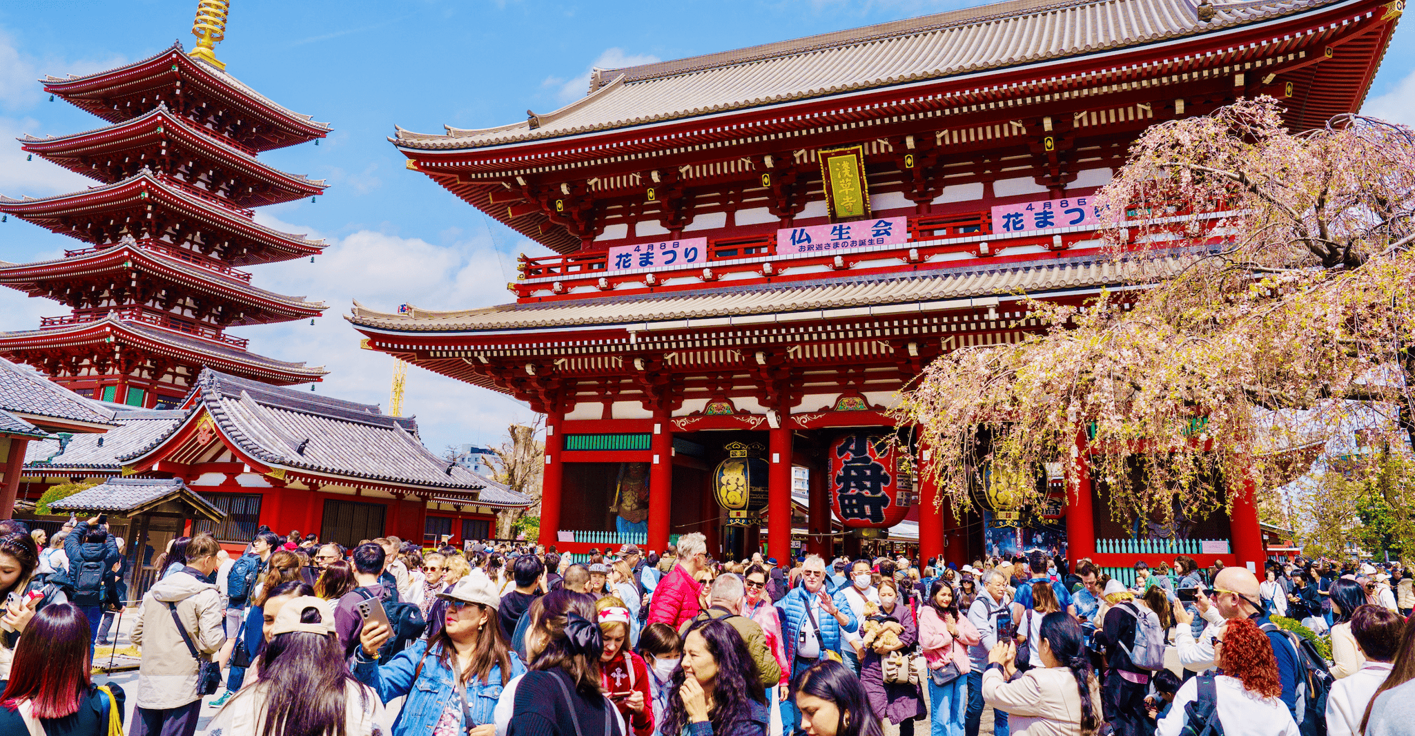 Tokyo: Private Customized Tour with Local Guide