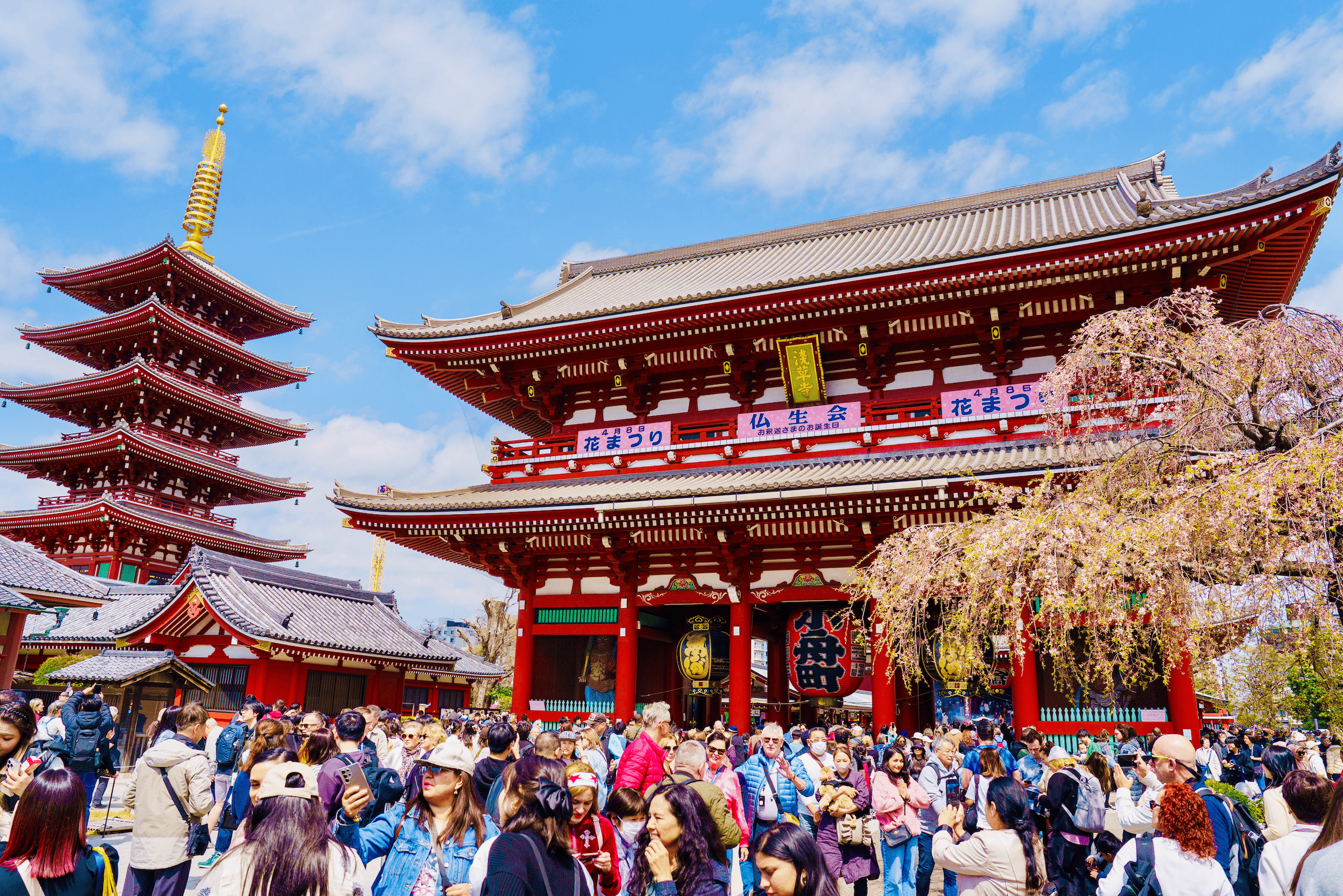 Tokio: Private individuelle Tour mit ortskundigem Guide