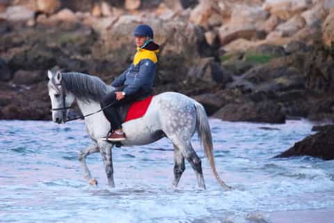 tangier 1hour horse riding experience for advanced riders