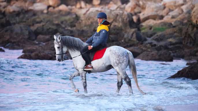 tangier 1hour horse riding experience for advanced riders