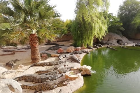 Djerba: Explore Park and Crocodile Farm with Pickup
