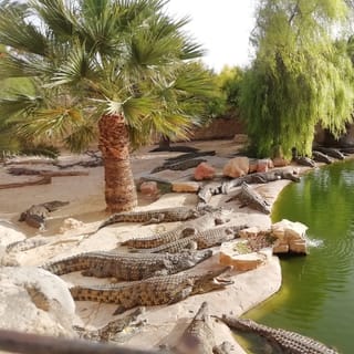 Djerba: Explore Park and Crocodile Farm with Pickup