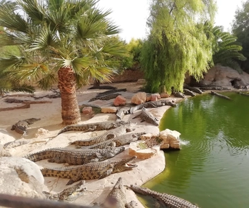 Djerba: Explore Park and Crocodile Farm with Pickup
