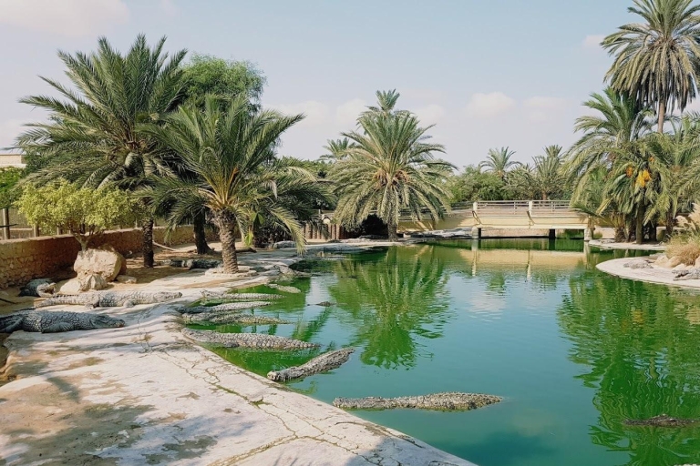 Djerba: explora el parque y la granja de cocodrilos con recogida