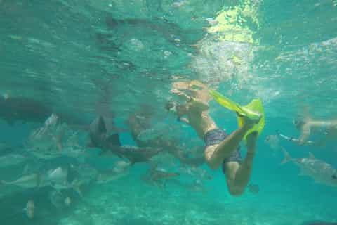 Caye Caulker: 7-Stop Snorkeling in the Belize Barrier Reef