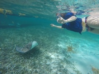 Caye Caulker, 7-Stop Snorkeling en la Barrera de Arrecifes de Belice - Hizvo