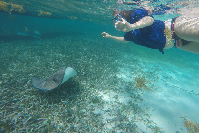 Caye Caulker: Schnorcheln am Belize Barrier Reef an 7 Stopps