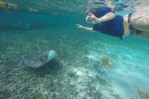 Caye Caulker: 7-Stop Snorkeling in the Belize Barrier Reef