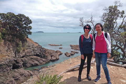 Isola di Waiheke: passeggiata privata personalizzata