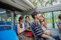 Bangkok, Hop-On Hop-Off Bus with 24, 48 or 72-Hour Validity - Housity