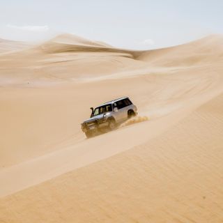 From Cairo: 4x4 Desert Safari, Sandsurf, and Camel Ride
