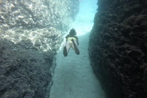 Dubrovnik : Les secrets des îles Elafiti en bateauVisite d&#039;une jounée