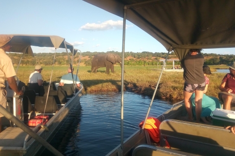 Von den Victoriafällen: Private Tour durch den Chobe-NationalparkErweiterte Tagestour