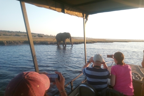 From Victoria Falls: Chobe National Park Private Tour Half-Day Tour