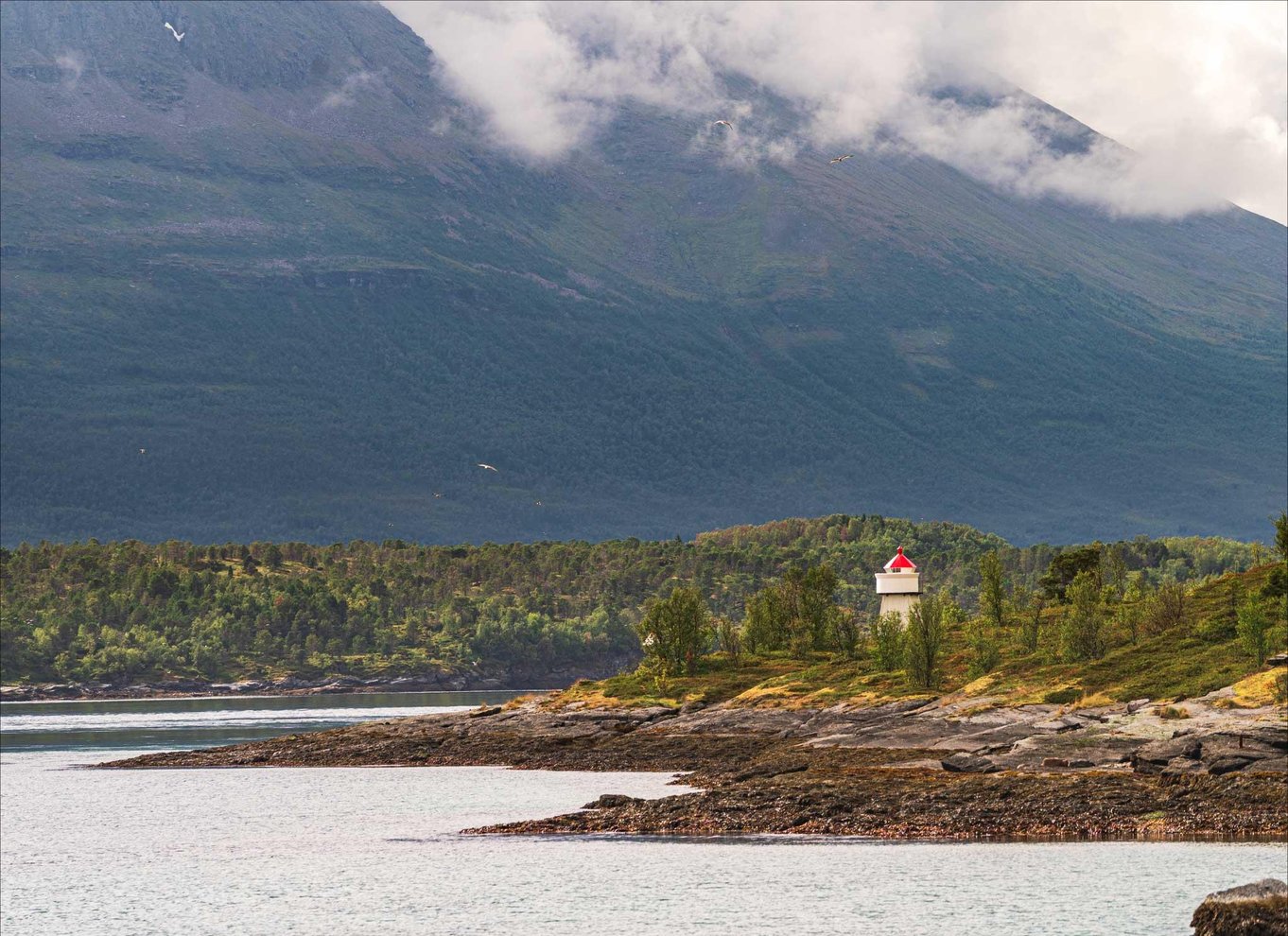 Tromsø: Arktisk fjordkrydstogt med hybridelektrisk katamaran