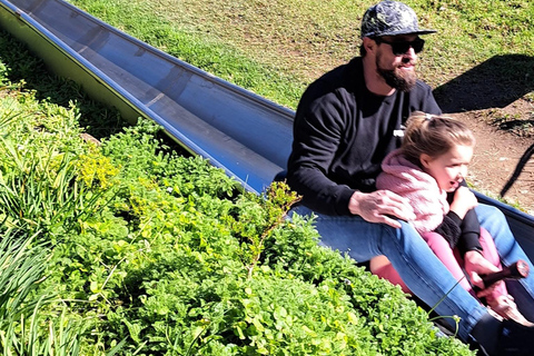 Kaapstad: Cool Running/Toboggan Adventure en ophaalservice vanaf je hotelKaapstad: Cool Running/Toboggan-avontuur en ophaalservice vanaf je hotel