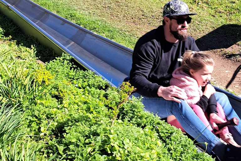 Kaapstad: Cool Running/Toboggan Adventure en ophaalservice vanaf je hotelKaapstad: Cool Running/Toboggan-avontuur en ophaalservice vanaf je hotel