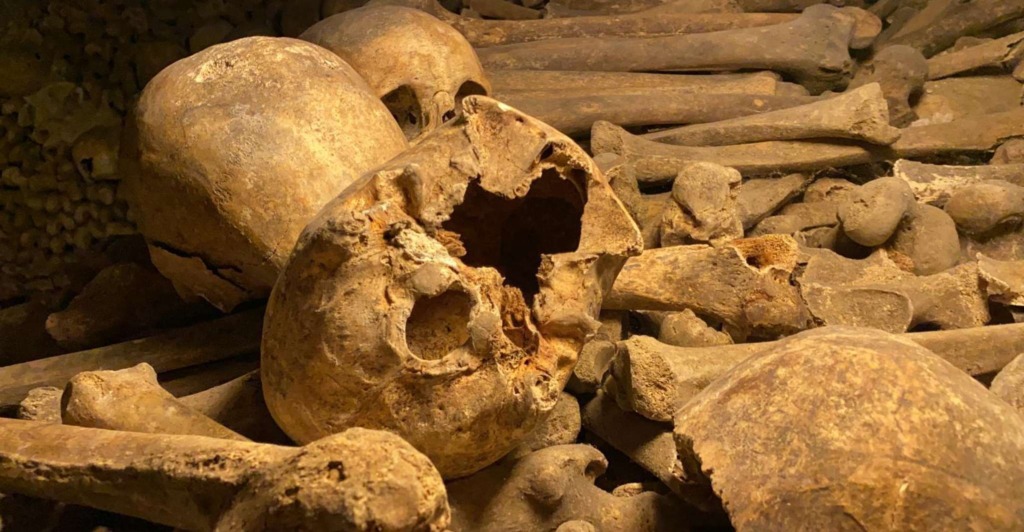 Paris: Small-Group Catacombs Tour with Skip-the-Line Entry