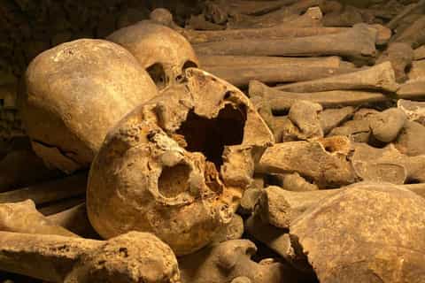 Small-group skip-the-line Catacombs tour