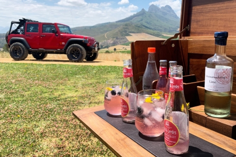 Z Kapsztadu: wycieczka po winnicach StellenboschKapsztad: wycieczka po winnicach Stellenbosch