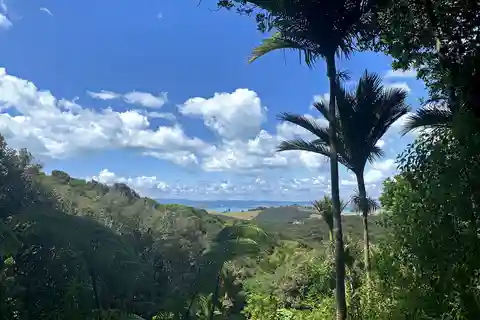 Waiheke Island: Private Guided Te Ara Hura 5-Day Walk