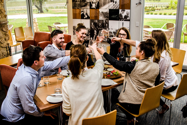 McLaren Vale: Tour per piccoli gruppi (pranzo incluso)