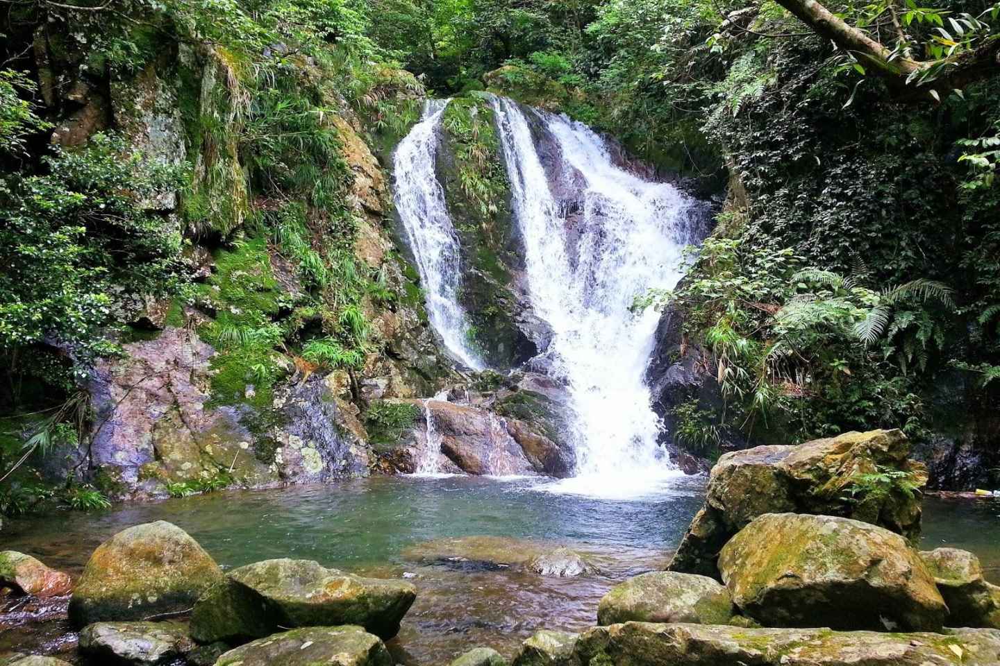 Hong Kong: Tai Mo Shan Wasserfallwanderung