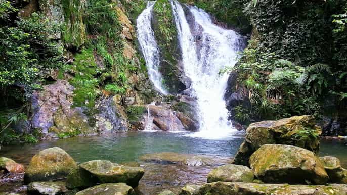 hong kong tai mo shan waterfall hike
