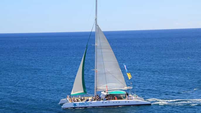 fuerteventura magic select catamaran trip