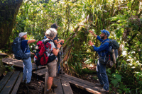 Forest Bélouve, Trou de Fer Weekly Group Hike in French - Housity