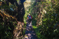 Forest Bélouve, Trou de Fer Weekly Group Hike in French - Housity