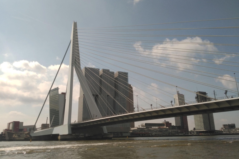Architektura Rotterdamu: centrum i południowy brzeg z taksówką wodnąRotterdam: Centrum i południowy spacer z przejażdżką łodzią motorową