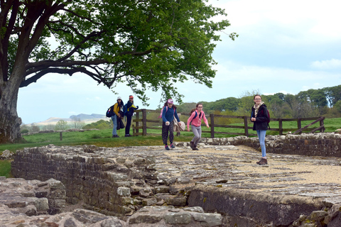 Mur d&#039;Hadrien : Billet d&#039;entrée au fort romain de BirdoswaldBillet familial pour le fort romain de Birdoswald avec jusqu&#039;à 2 adultes