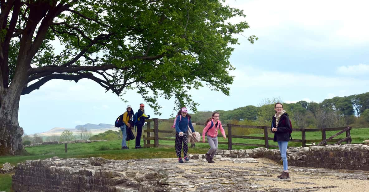 Hadrian's Wall, Cumbria - Book Tickets & Tours | GetYourGuide