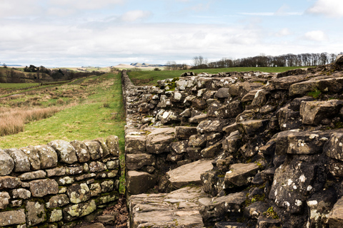 Mur d&#039;Hadrien : Billet d&#039;entrée au fort romain de BirdoswaldBillet familial pour le fort romain de Birdoswald avec jusqu&#039;à 2 adultes