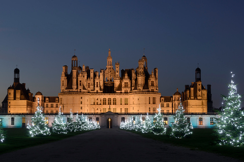 Chambord: Inträdesbiljett till slottet