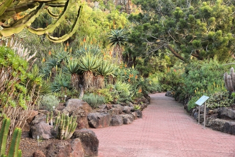 Las Palmas, ogrody botaniczne i wycieczka po wulkanie Bandama