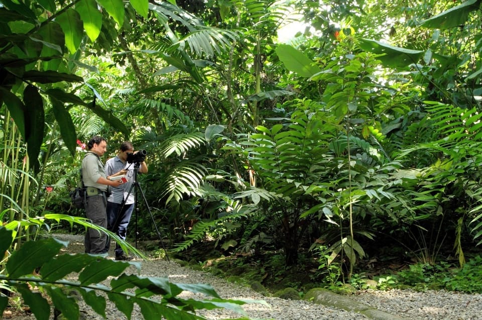 La Fortuna Danaus Ecological Park and Butterfly Garden Tour GetYourGuide