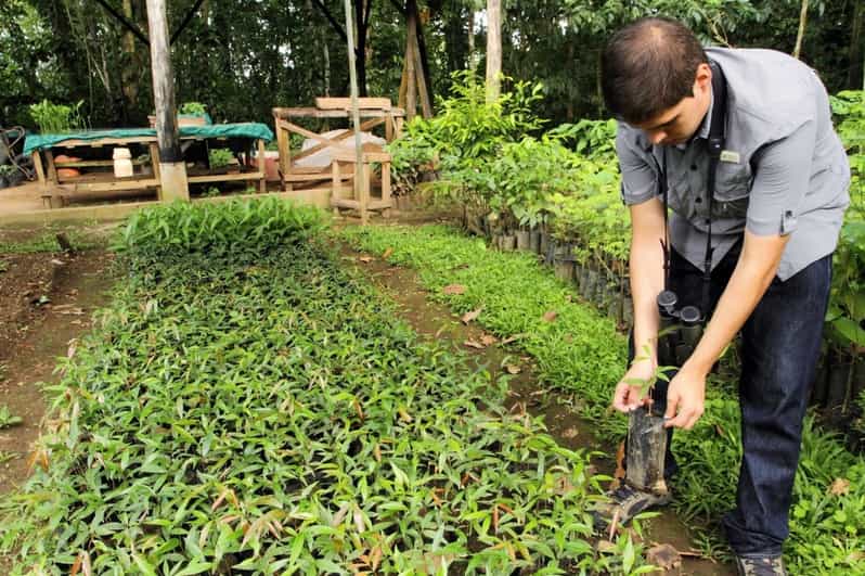 La Fortuna Danaus Ecological Park and Butterfly Garden Tour GetYourGuide