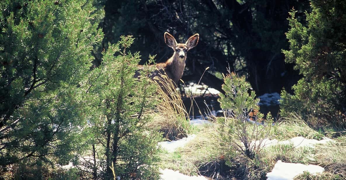 Camp Verde: Jeep Tour and Horseback Ride with Lunch
