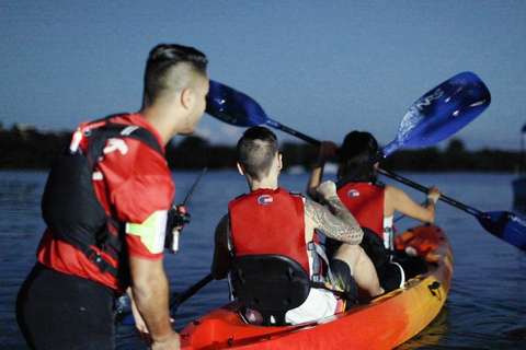 Fajardo: Bio Bay kajak turFajardo: Kajakpaddling i Bio Bay