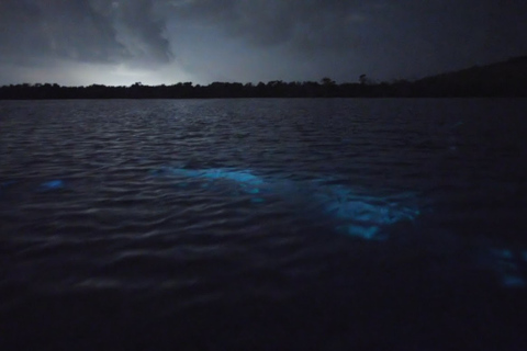 Fajardo: tour en kayak de la bahía Bioluminiscente