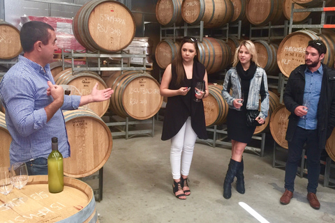 Au départ d'Adélaïde : Visite de vignobles en petit groupe à McLaren Vale