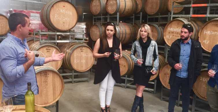 McLaren Vale: Small Group Wine Tour (Includes Lunch)