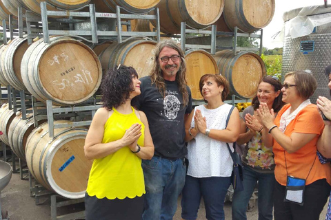 Au départ d'Adélaïde : Visite de vignobles en petit groupe à McLaren Vale